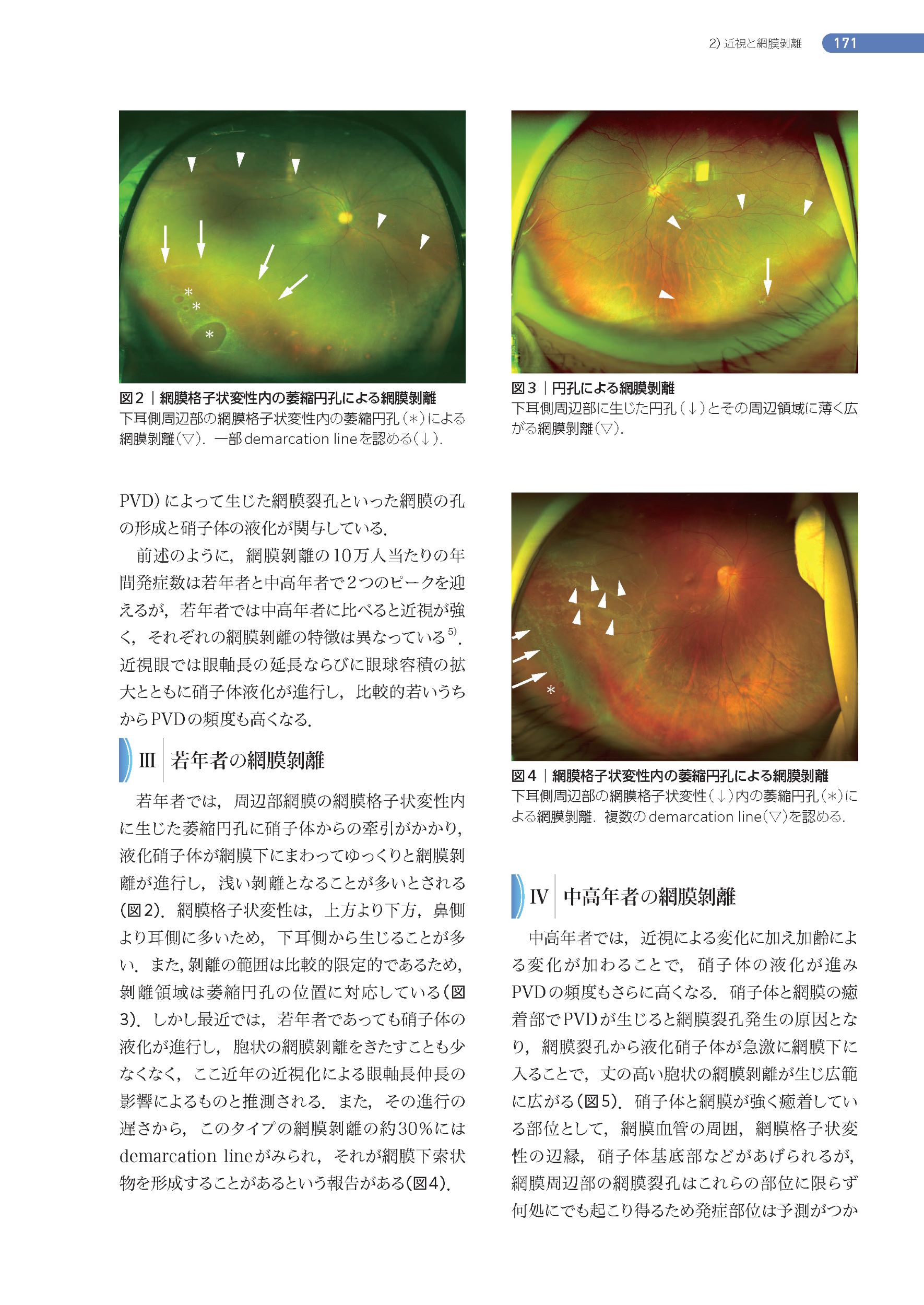 サムネイル画像8