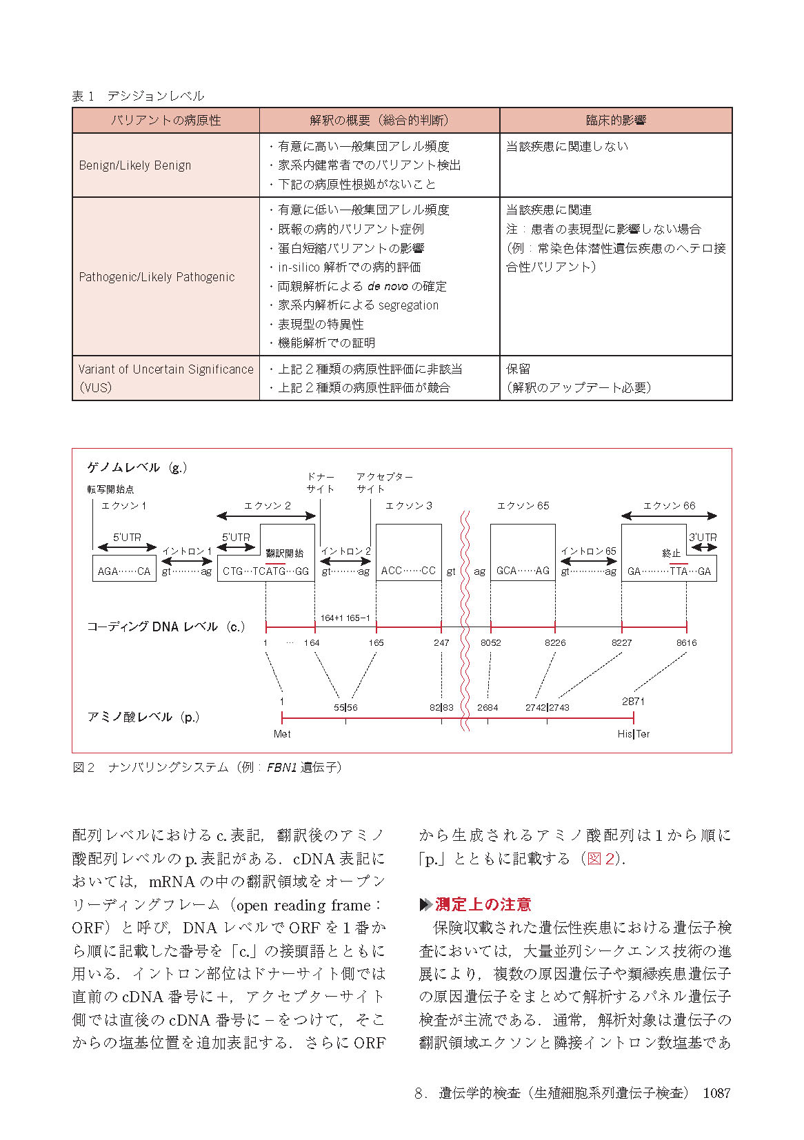 サムネイル画像9