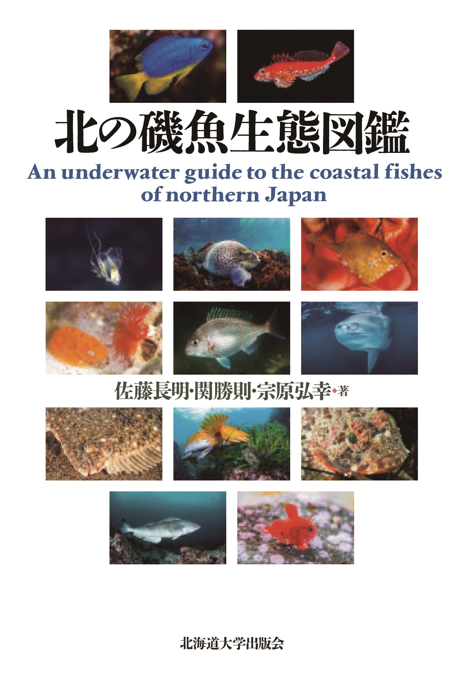 メイン画像