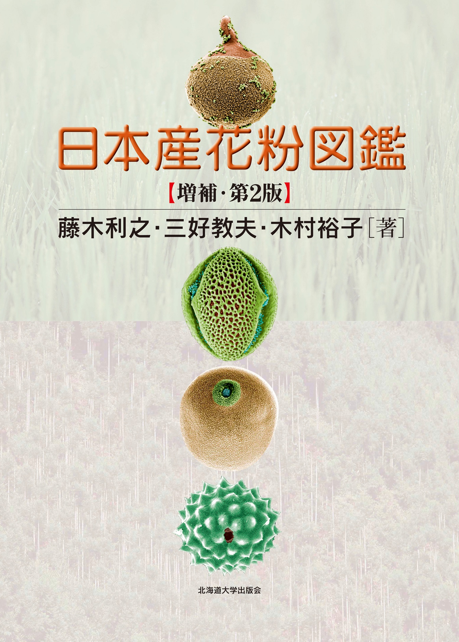 メイン画像