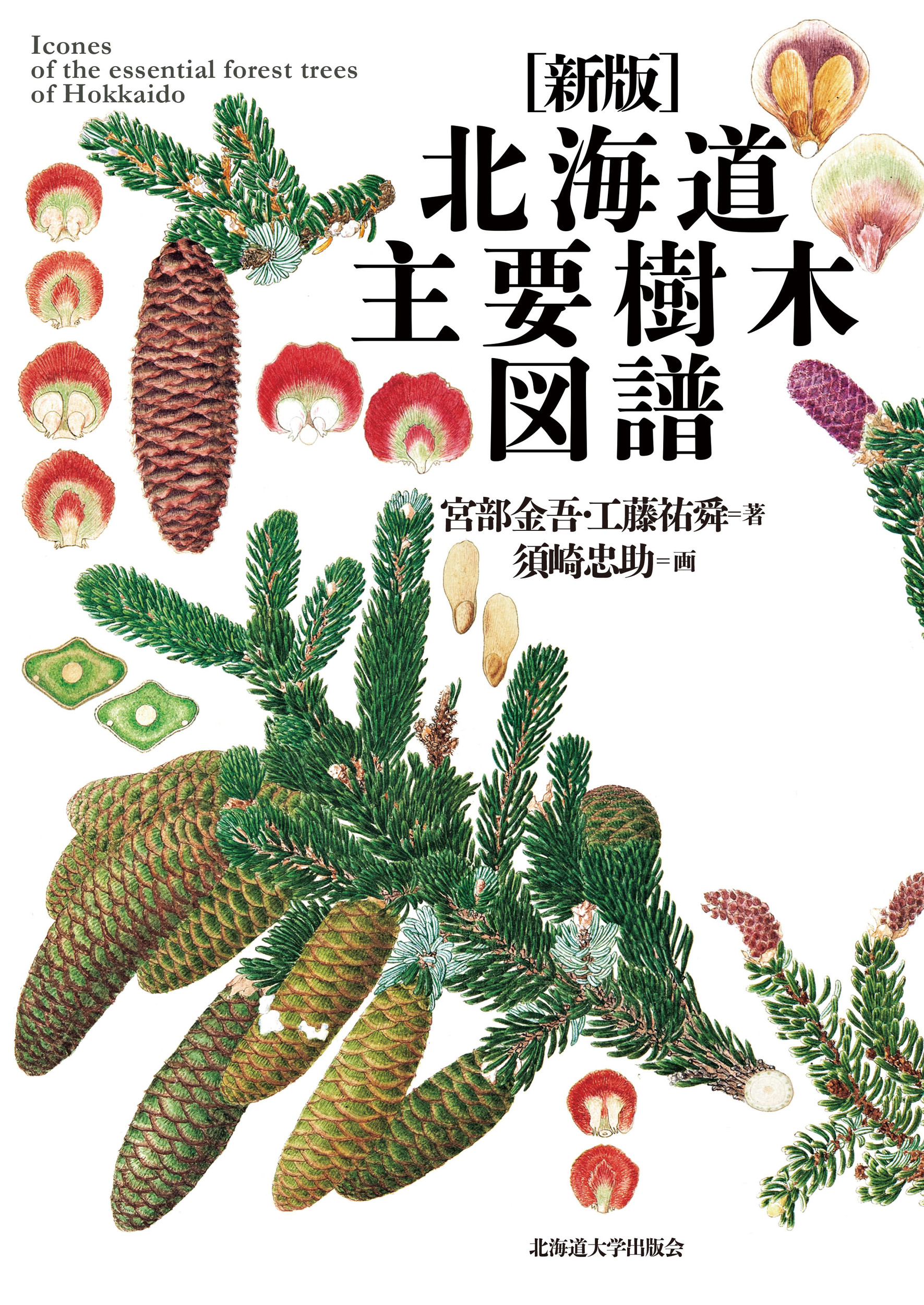 メイン画像