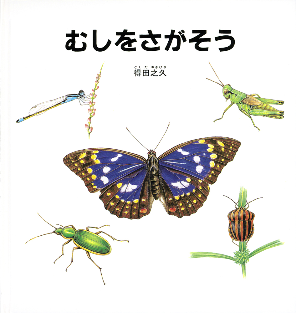 メイン画像