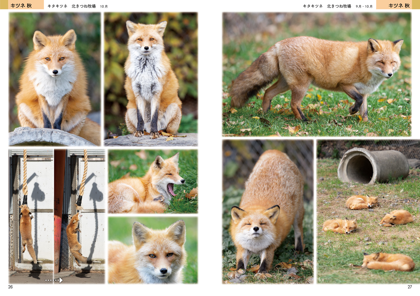 サムネイル画像1