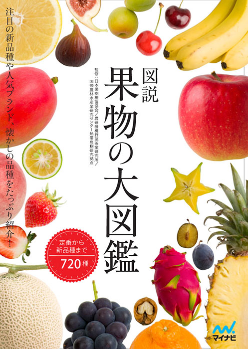 メイン画像