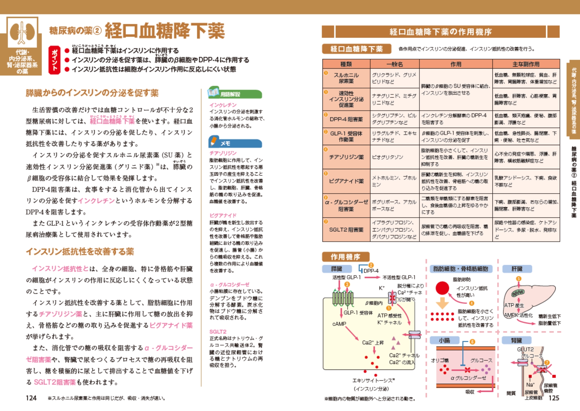 サムネイル画像5