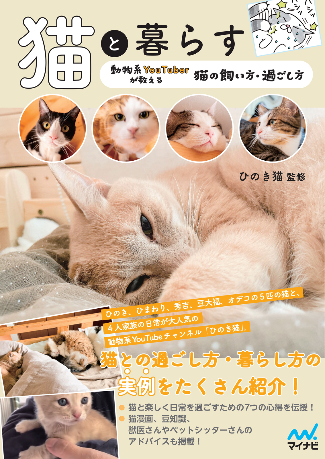 メイン画像