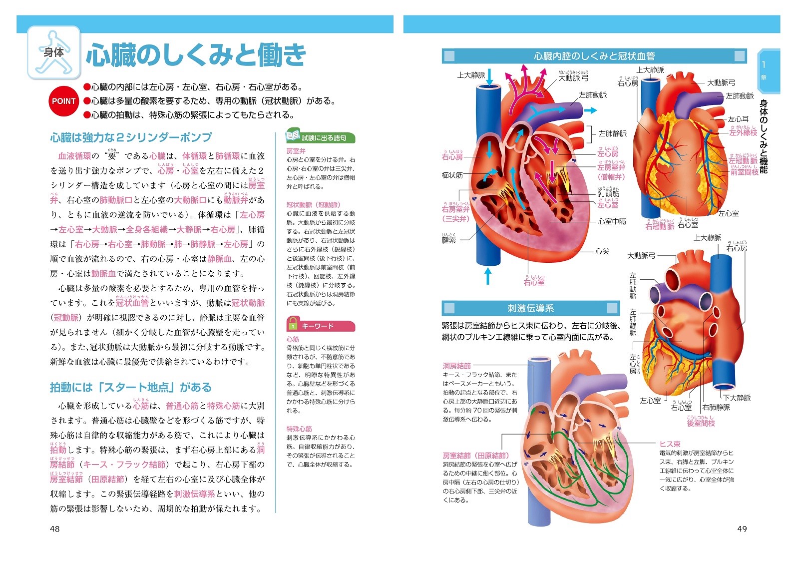 サムネイル画像3