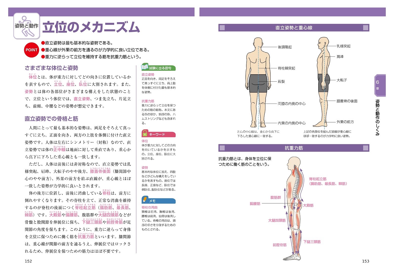サムネイル画像5