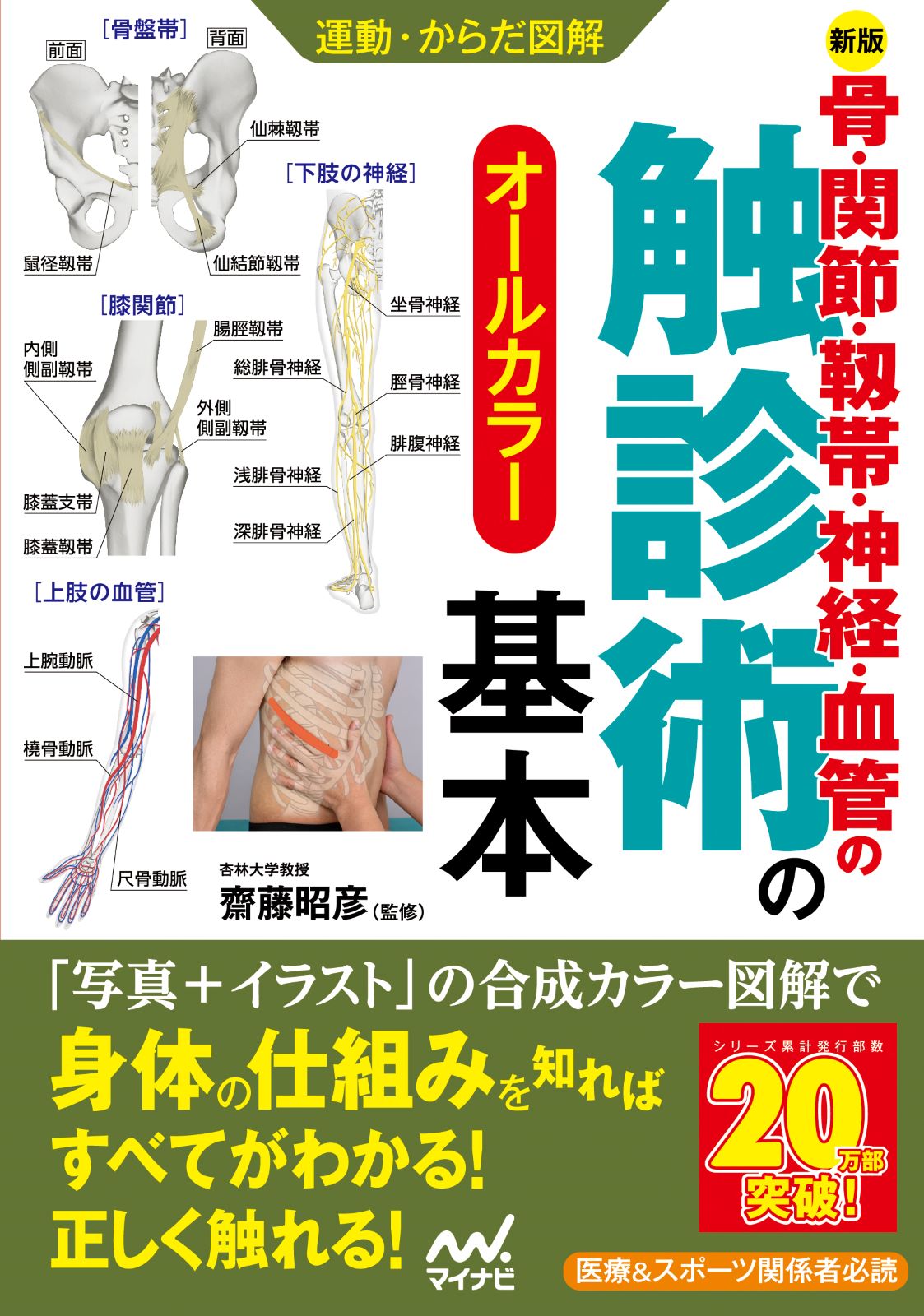 メイン画像