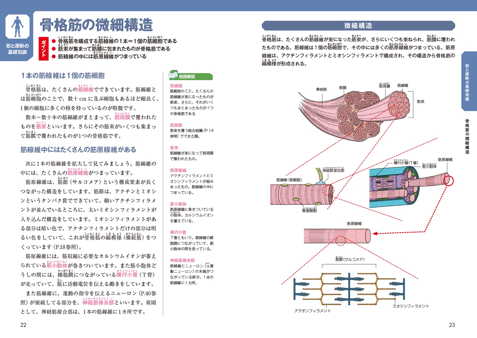 サムネイル画像5