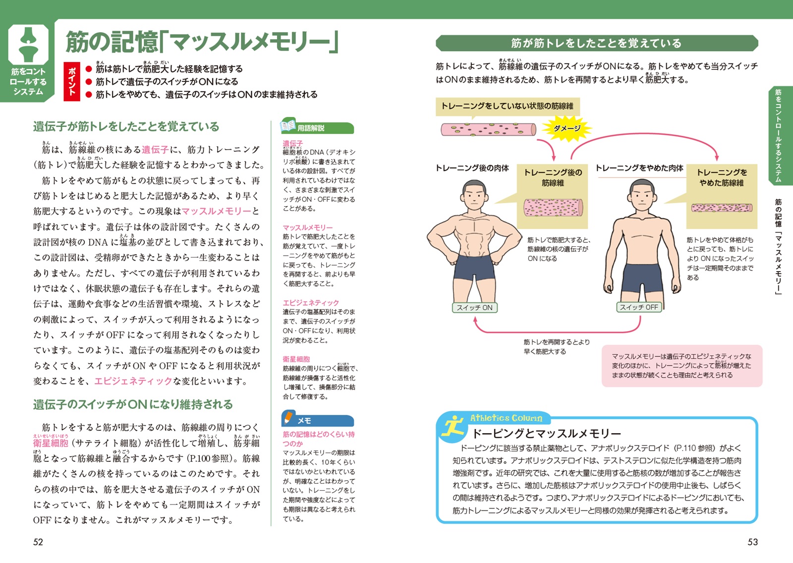 サムネイル画像6