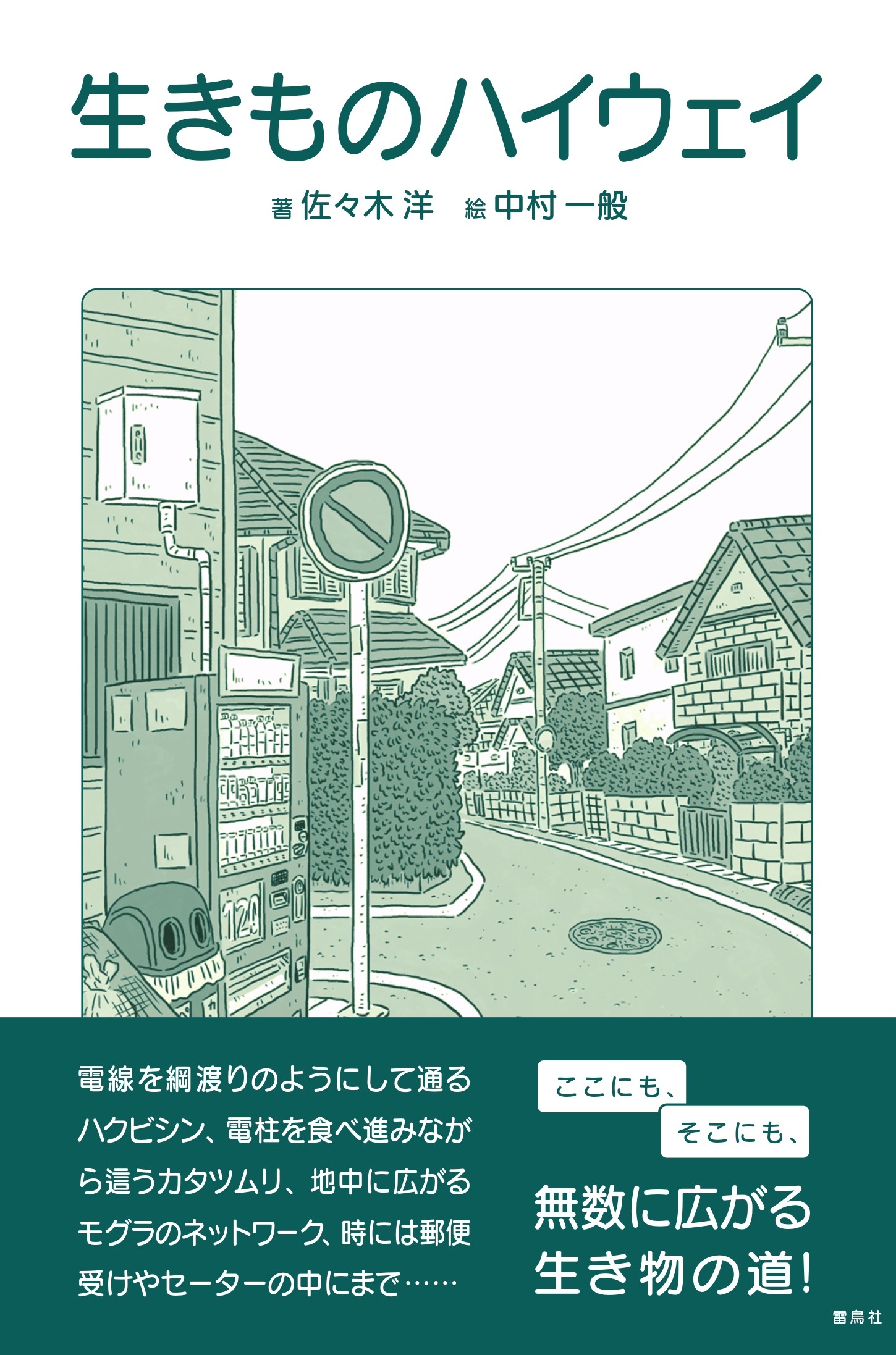 メイン画像