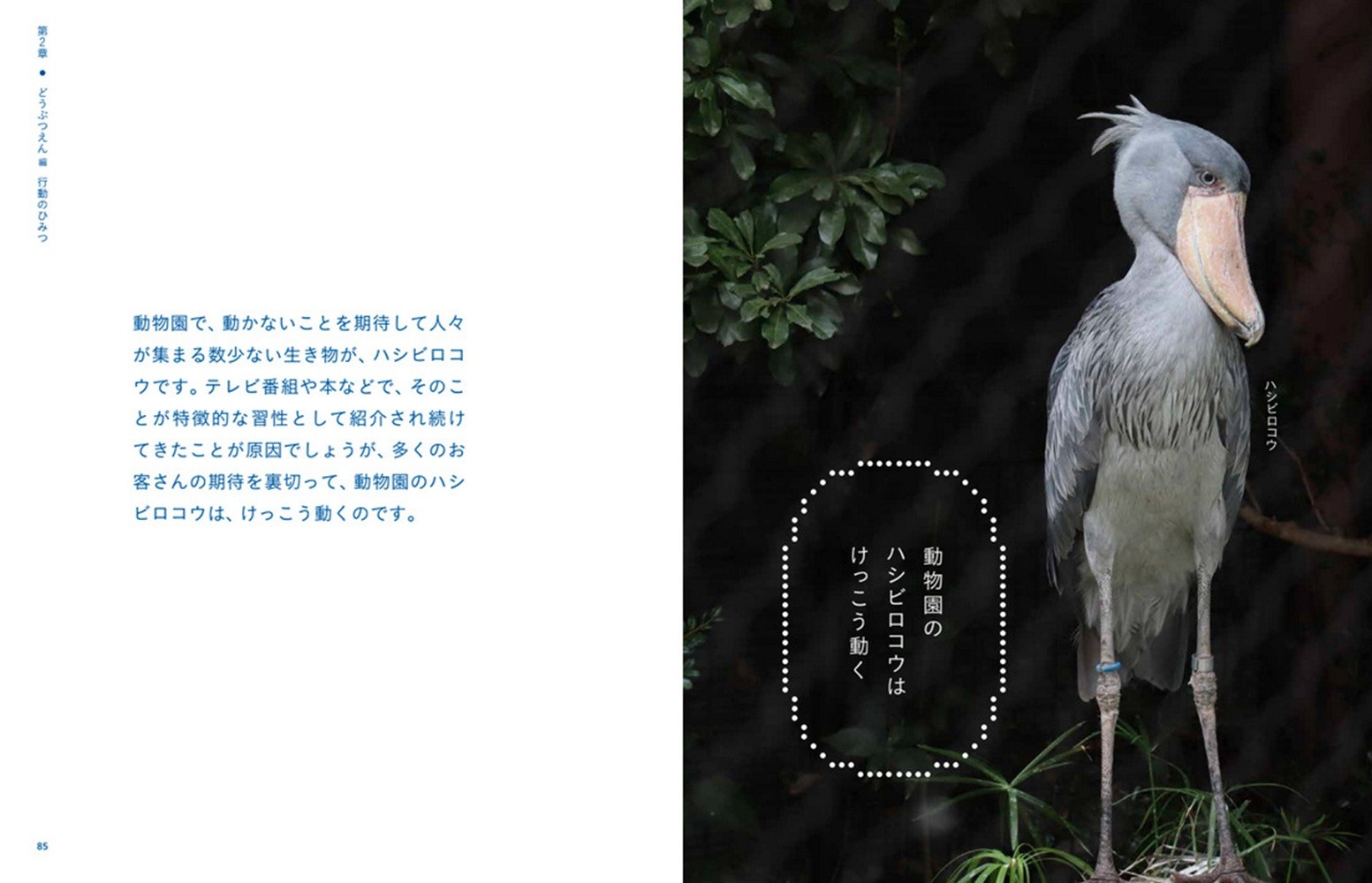 サムネイル画像2