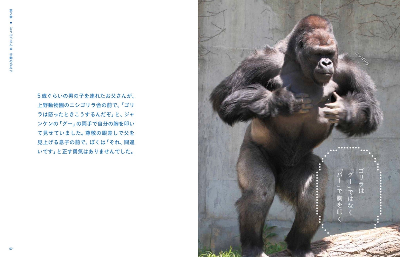 サムネイル画像3
