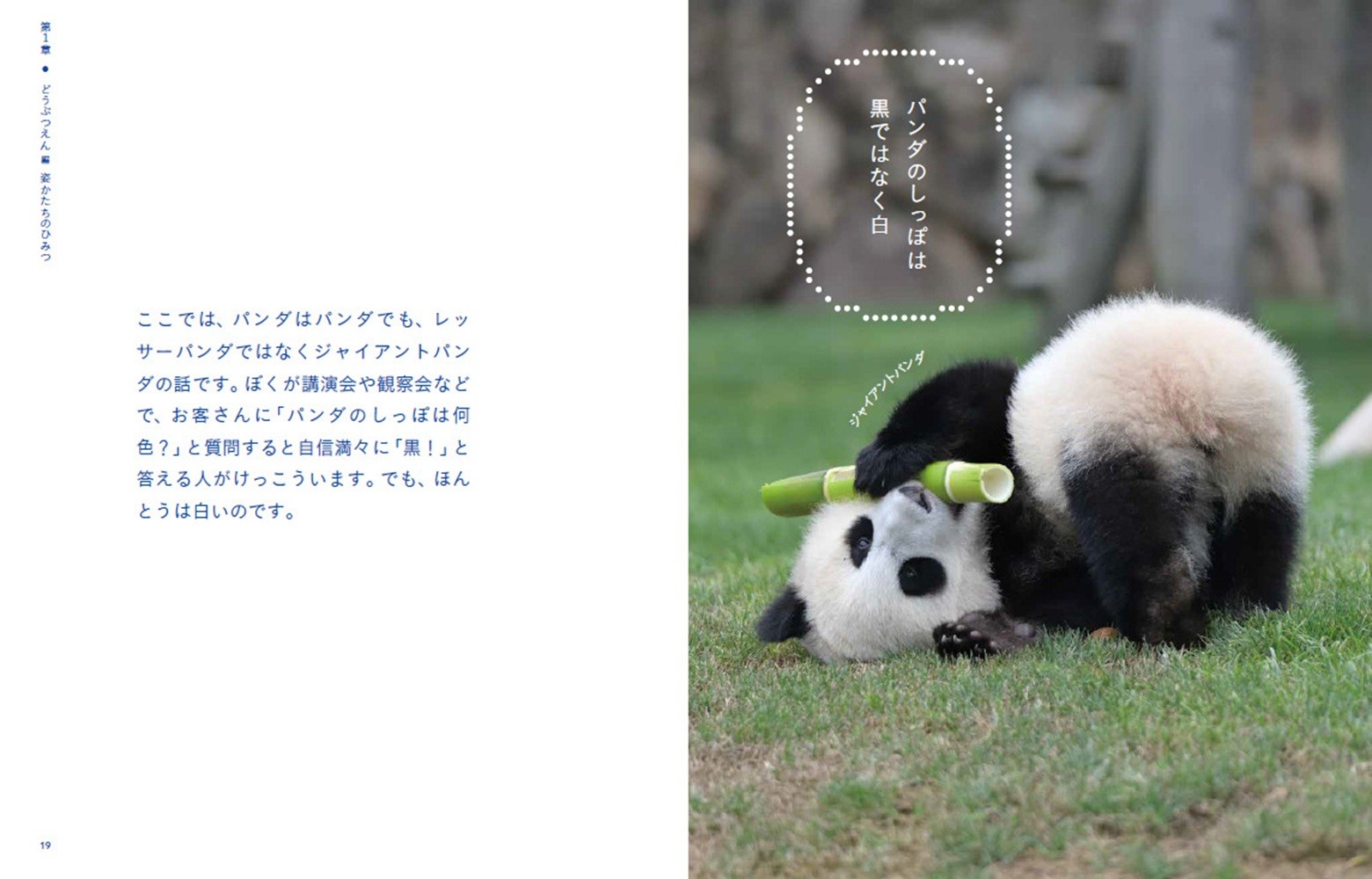 サムネイル画像4