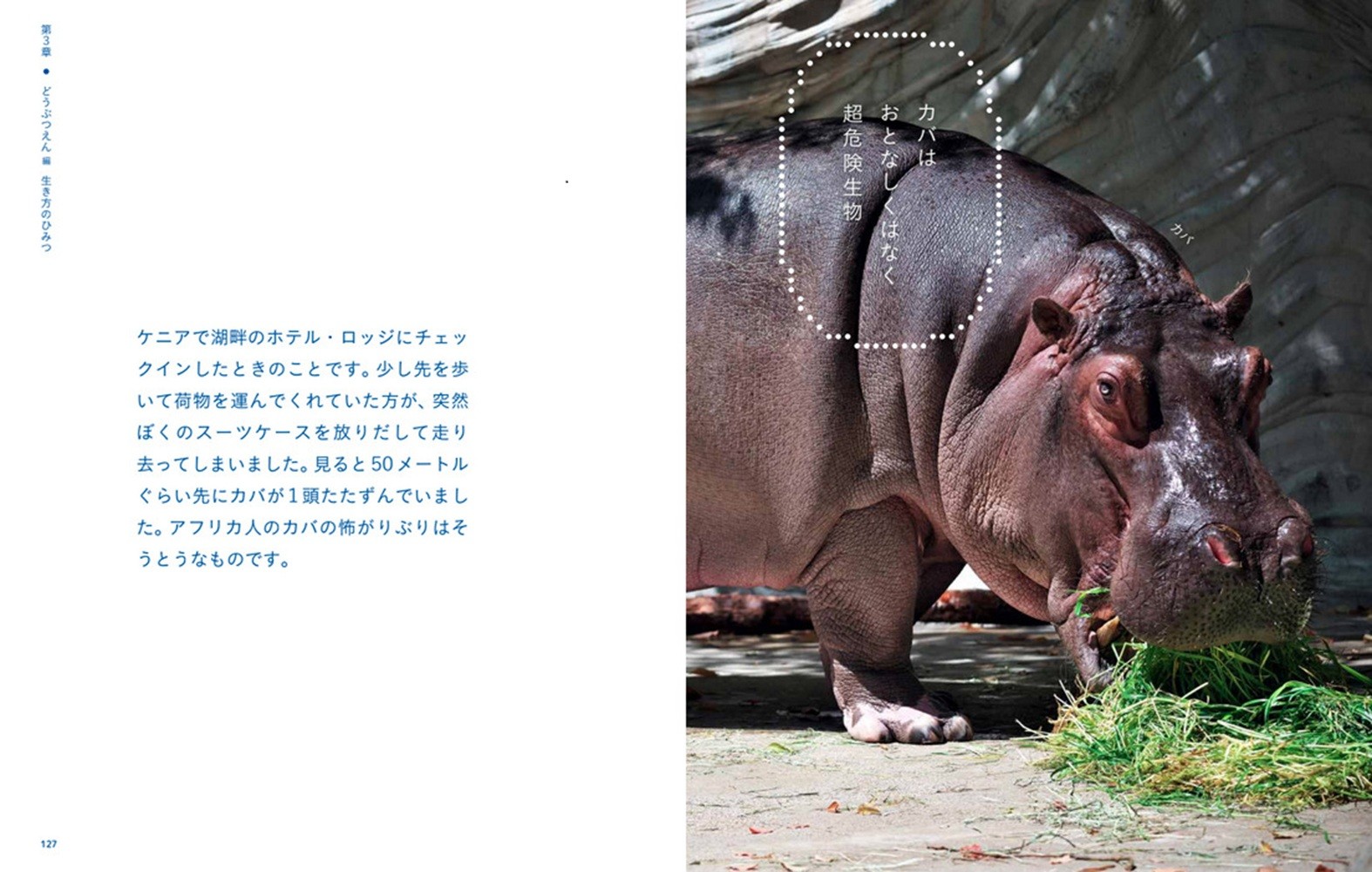 サムネイル画像5