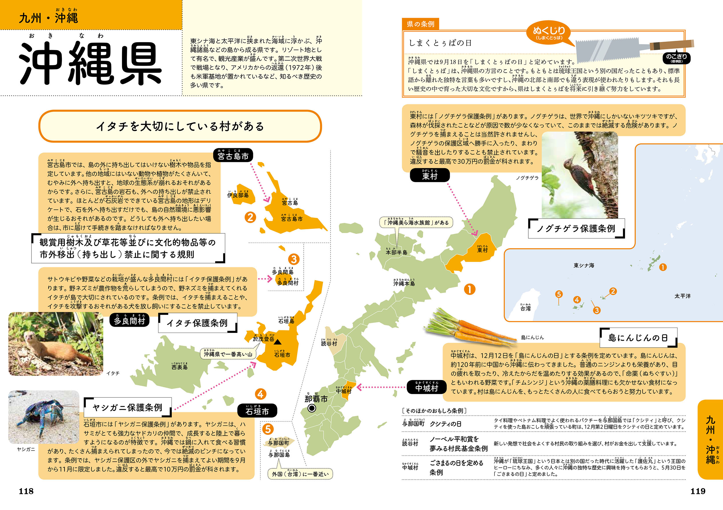 サムネイル画像5