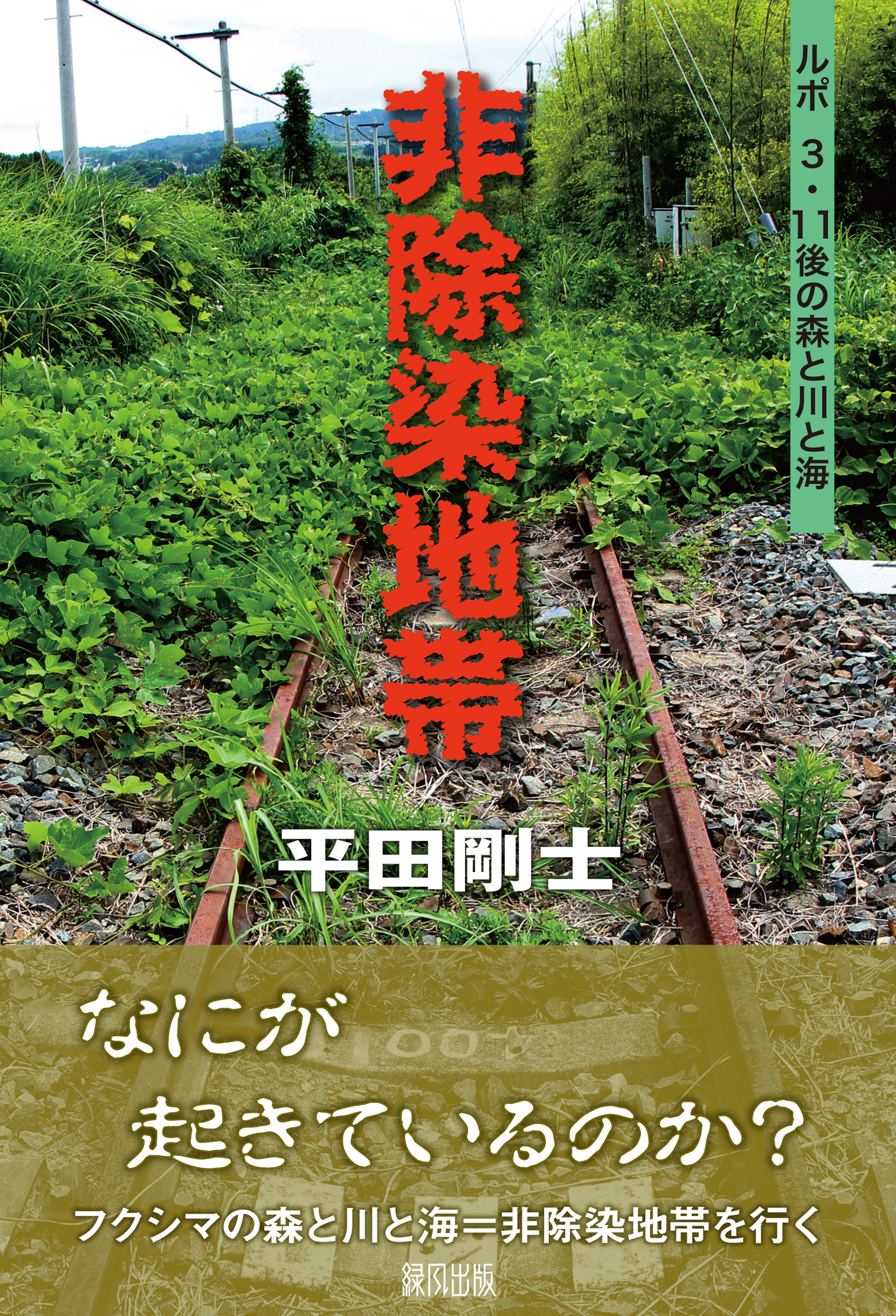 メイン画像