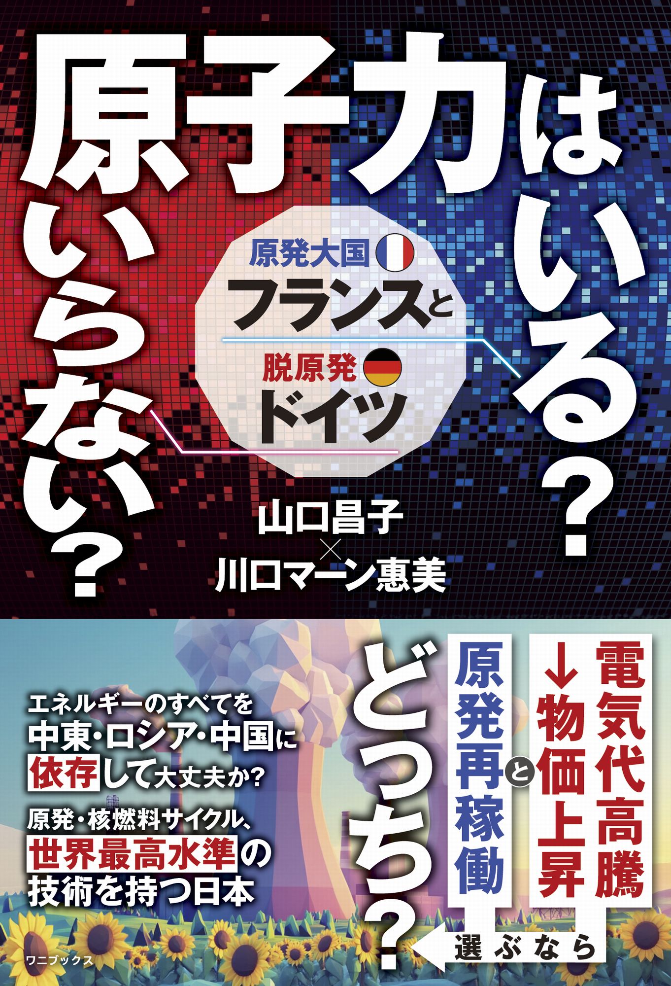 メイン画像