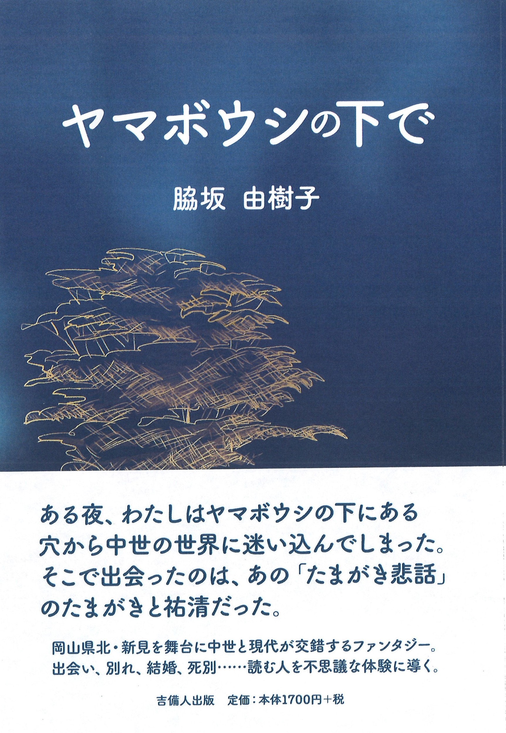 メイン画像