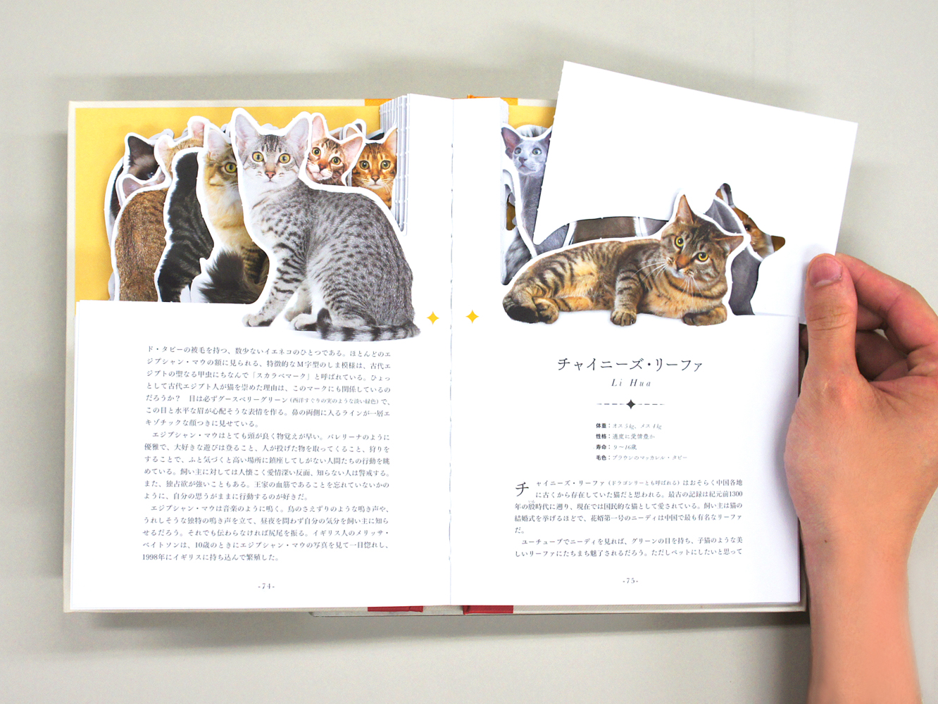 サムネイル画像4