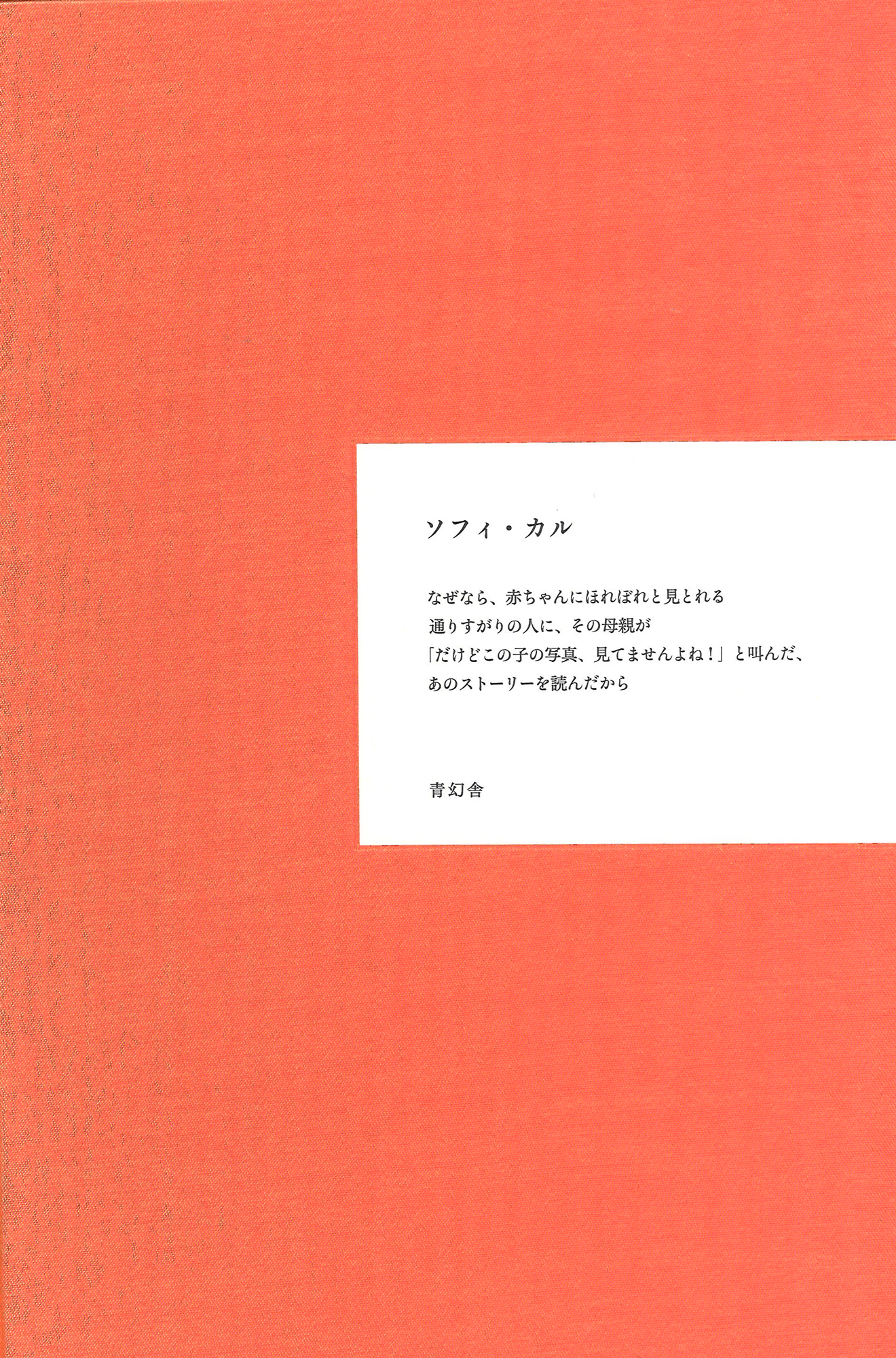 メイン画像