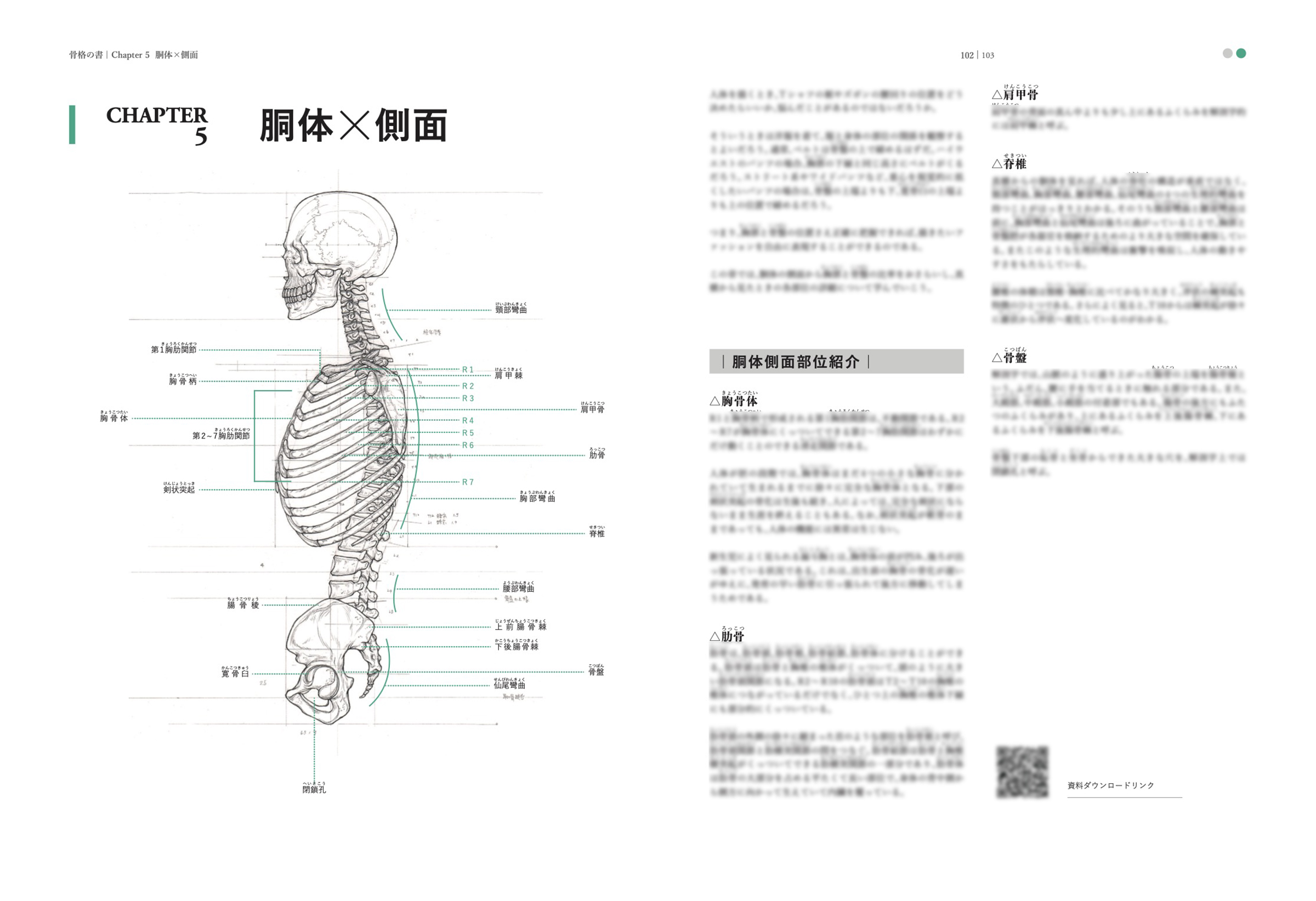サムネイル画像4