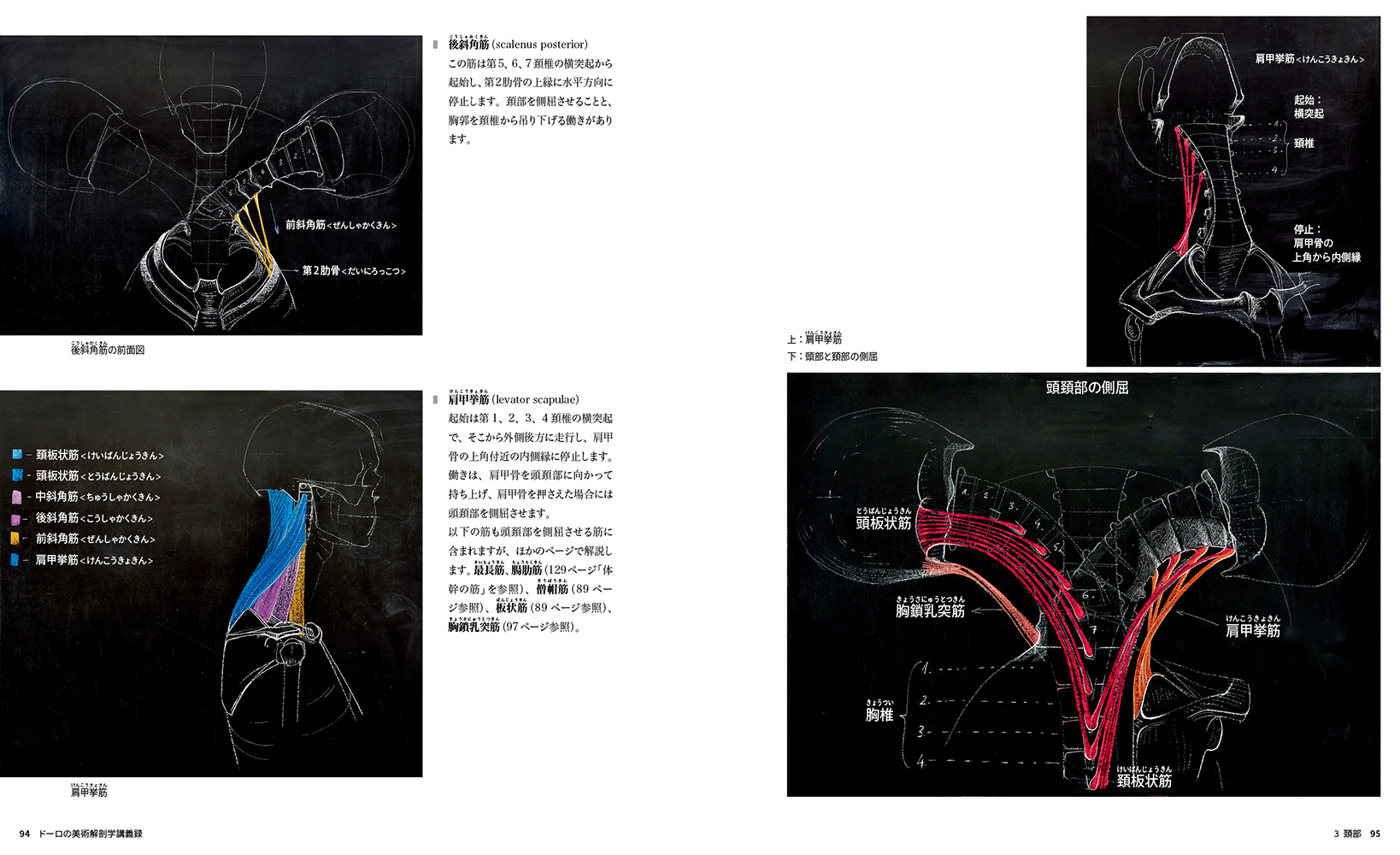 サムネイル画像5