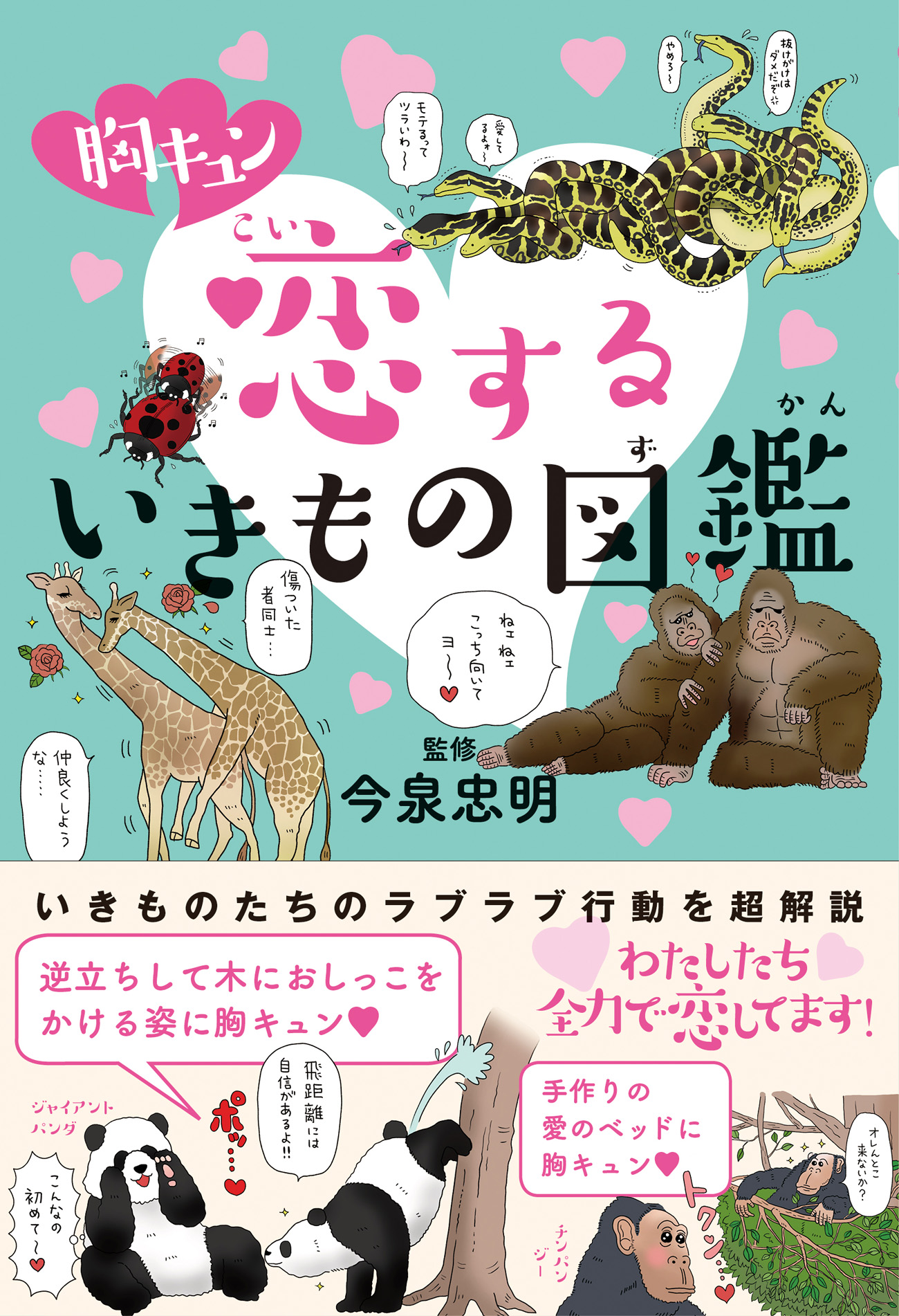 メイン画像