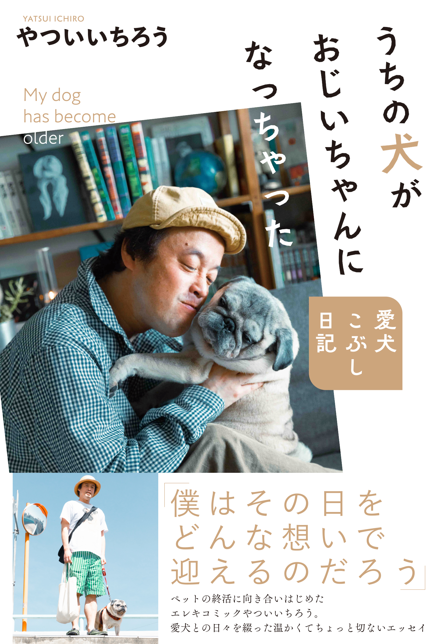 メイン画像