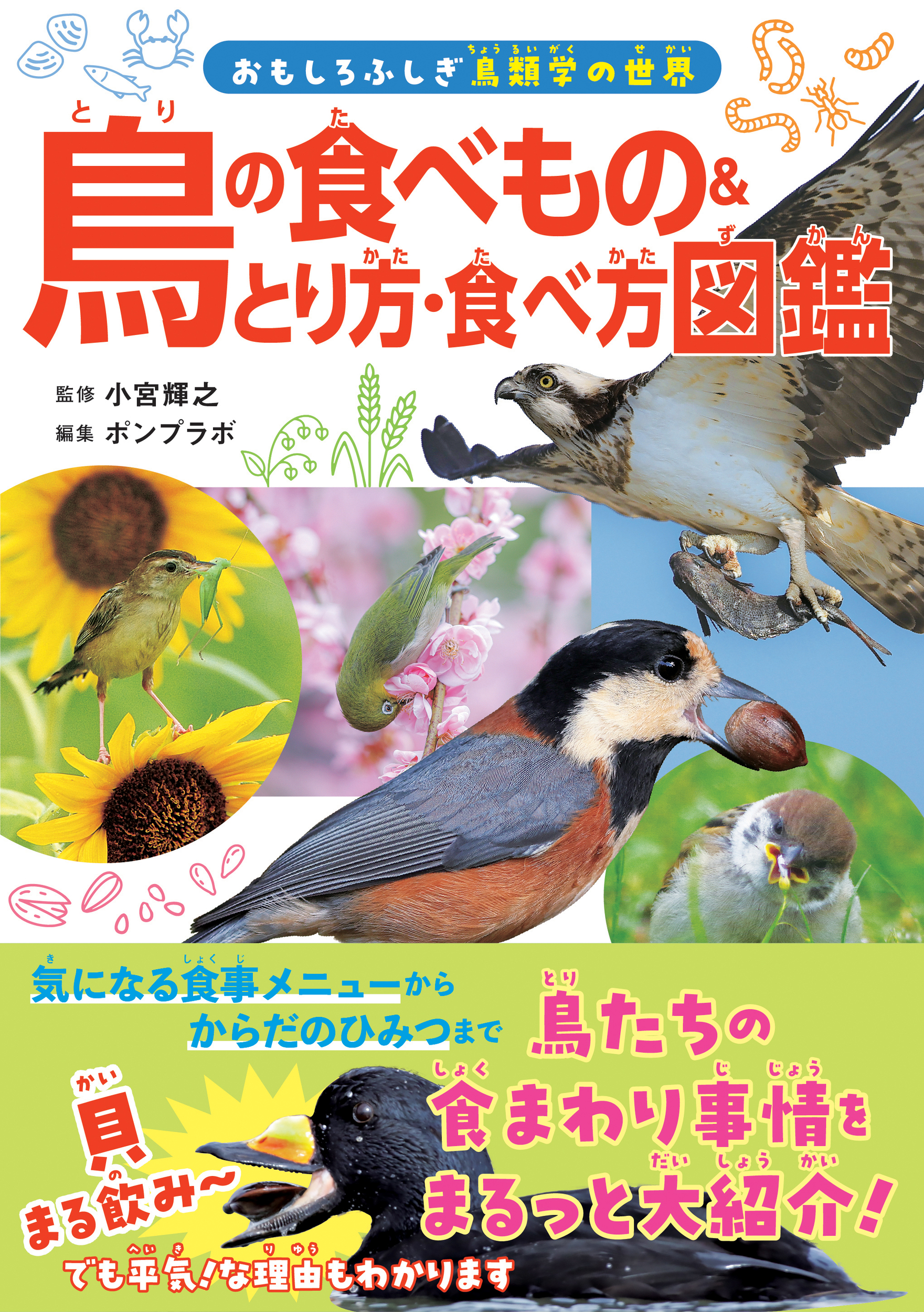 メイン画像