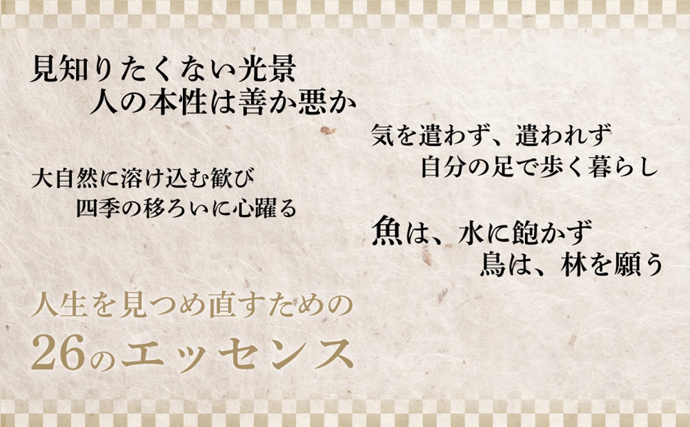 サムネイル画像4
