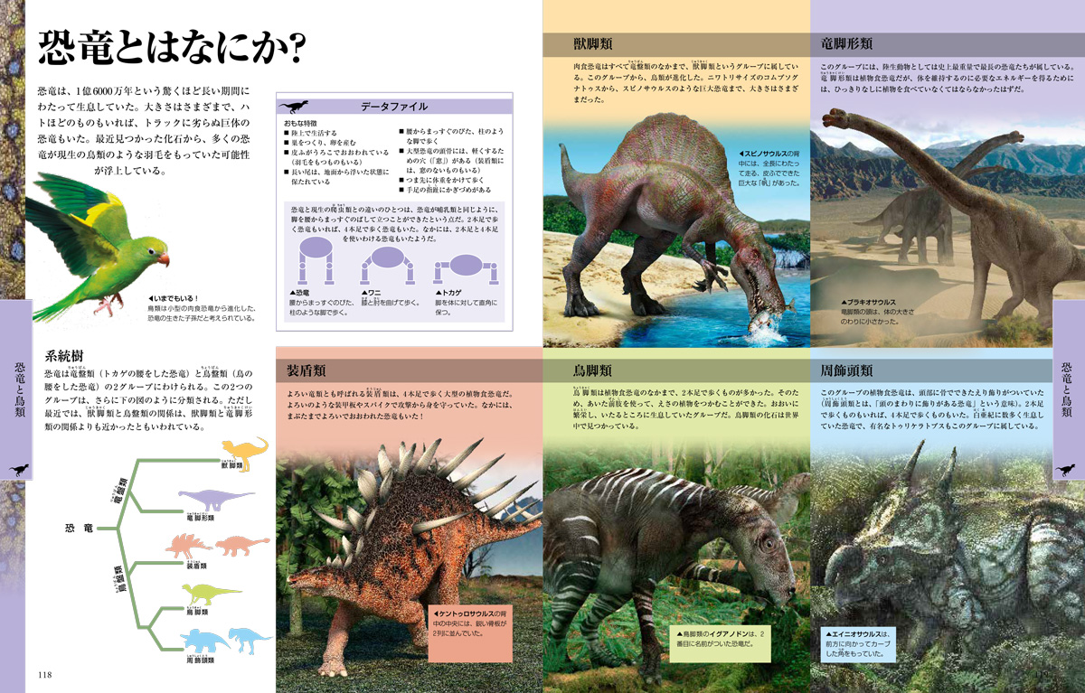サムネイル画像1