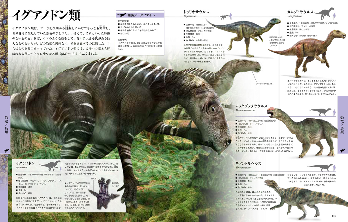サムネイル画像2