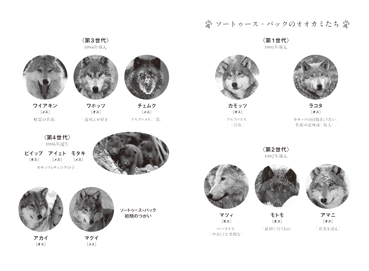 サムネイル画像2