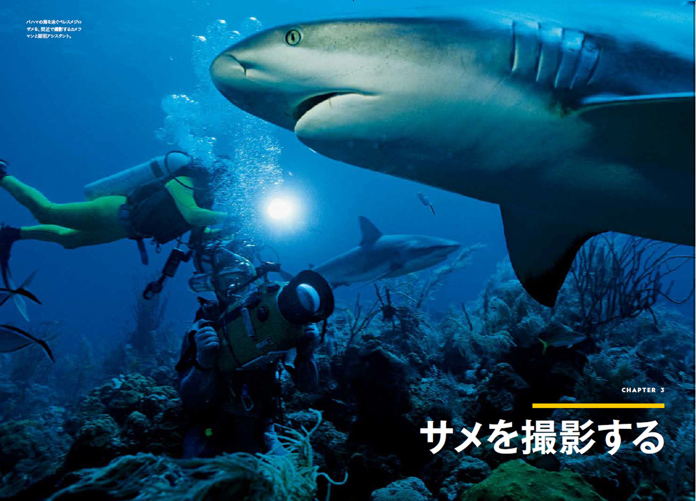 サムネイル画像2