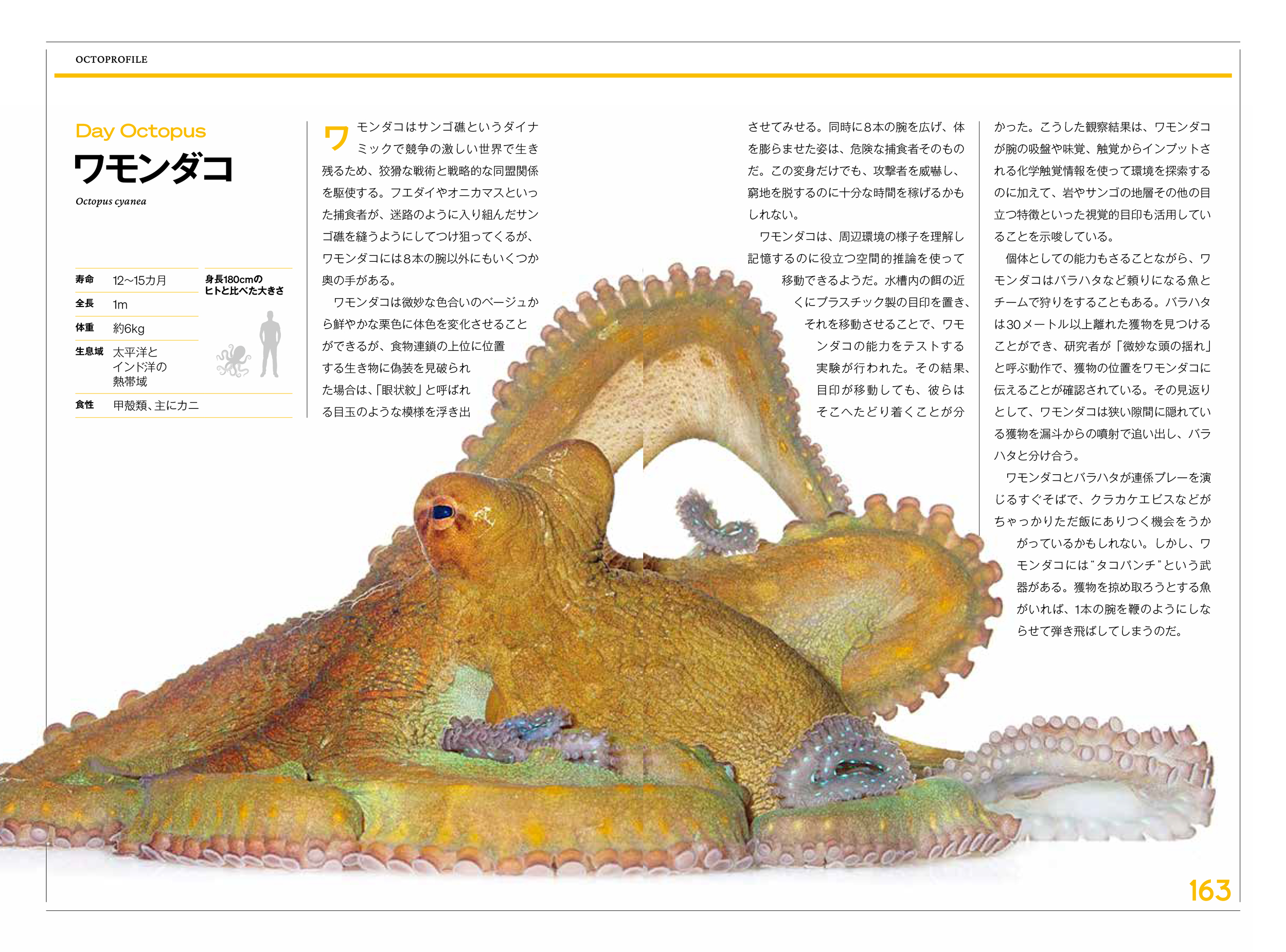 サムネイル画像2