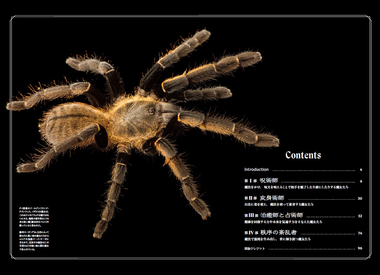 サムネイル画像1