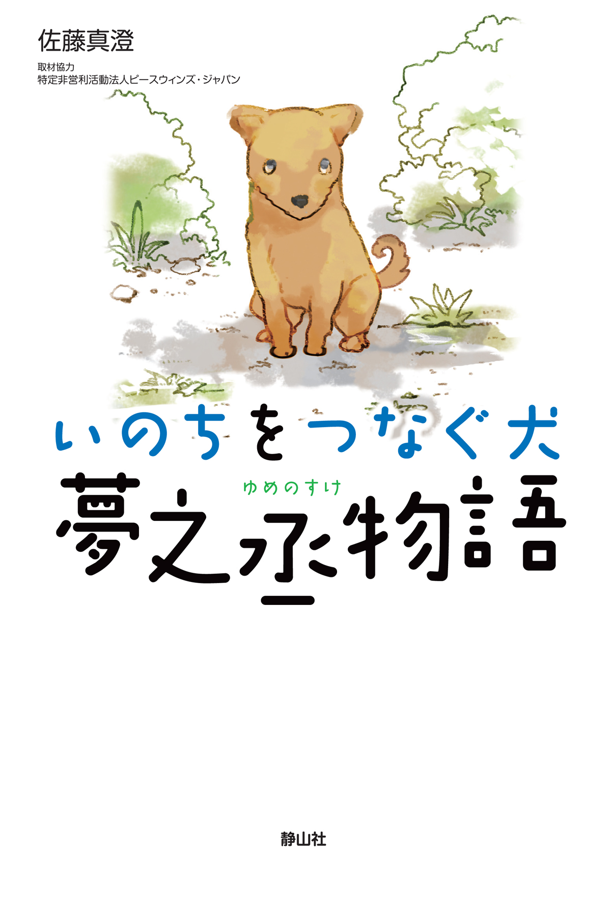 メイン画像