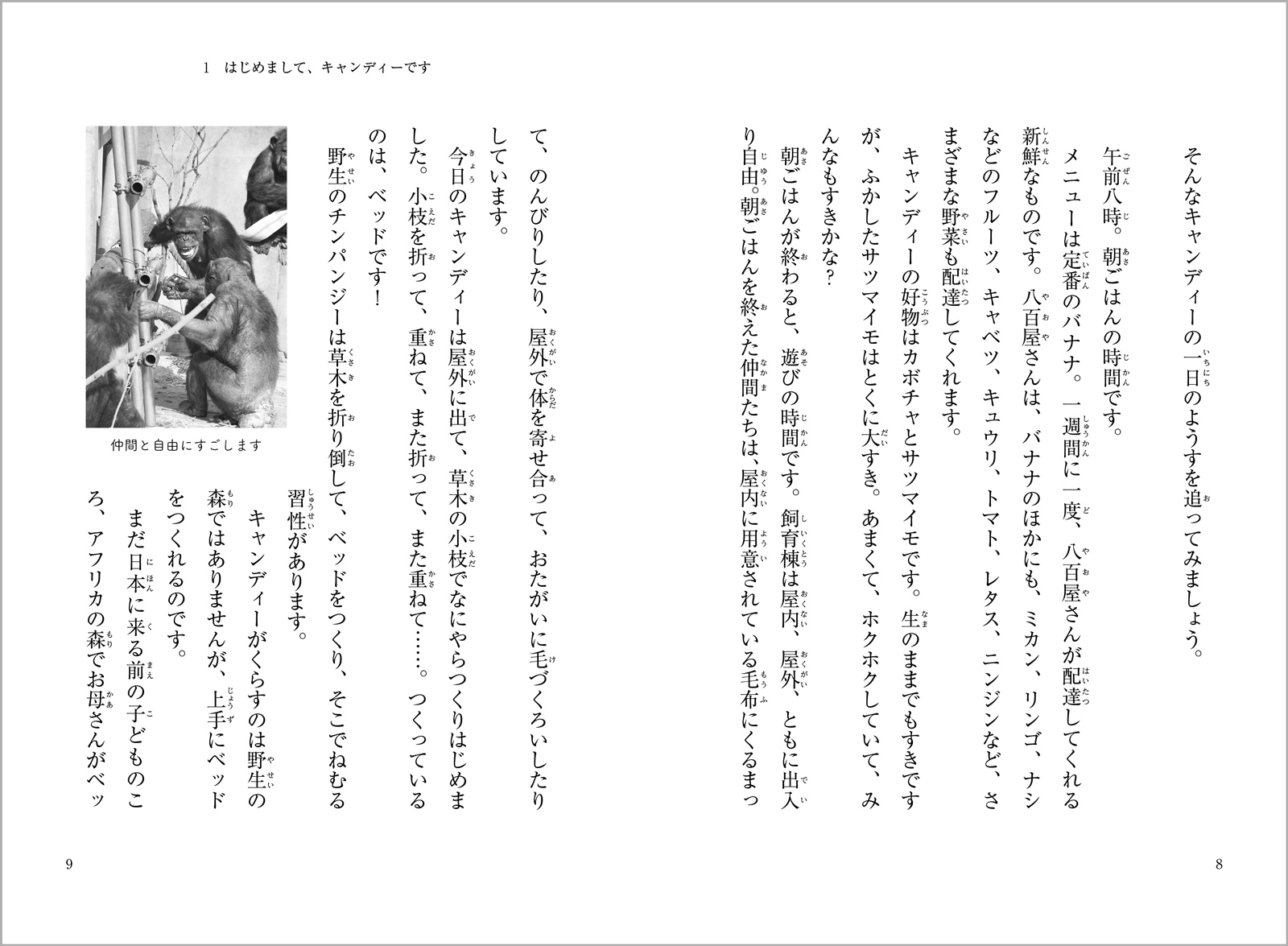 サムネイル画像4