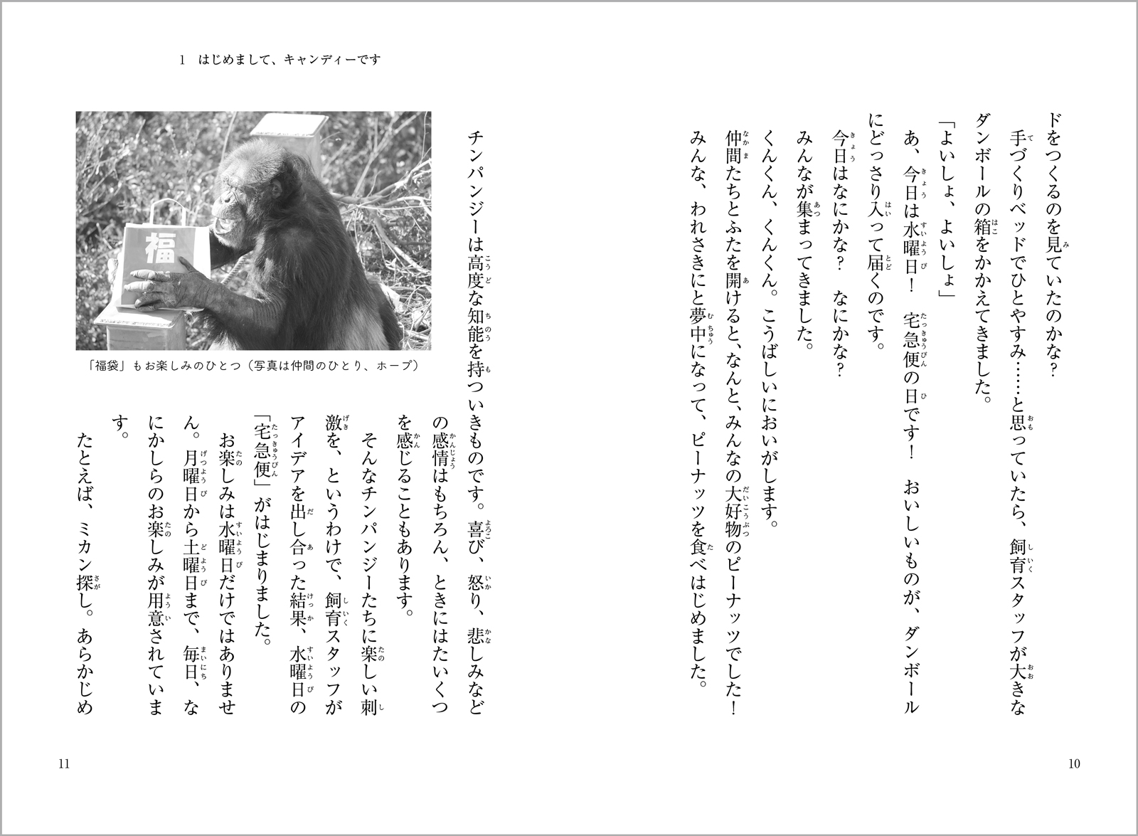 サムネイル画像5