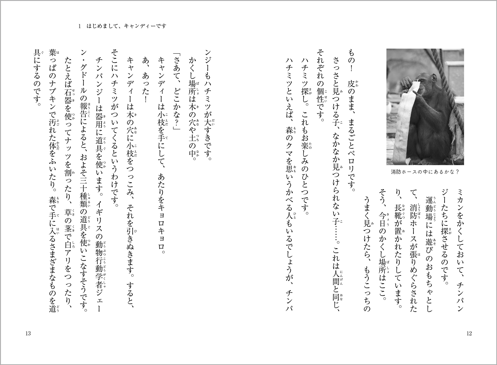 サムネイル画像6