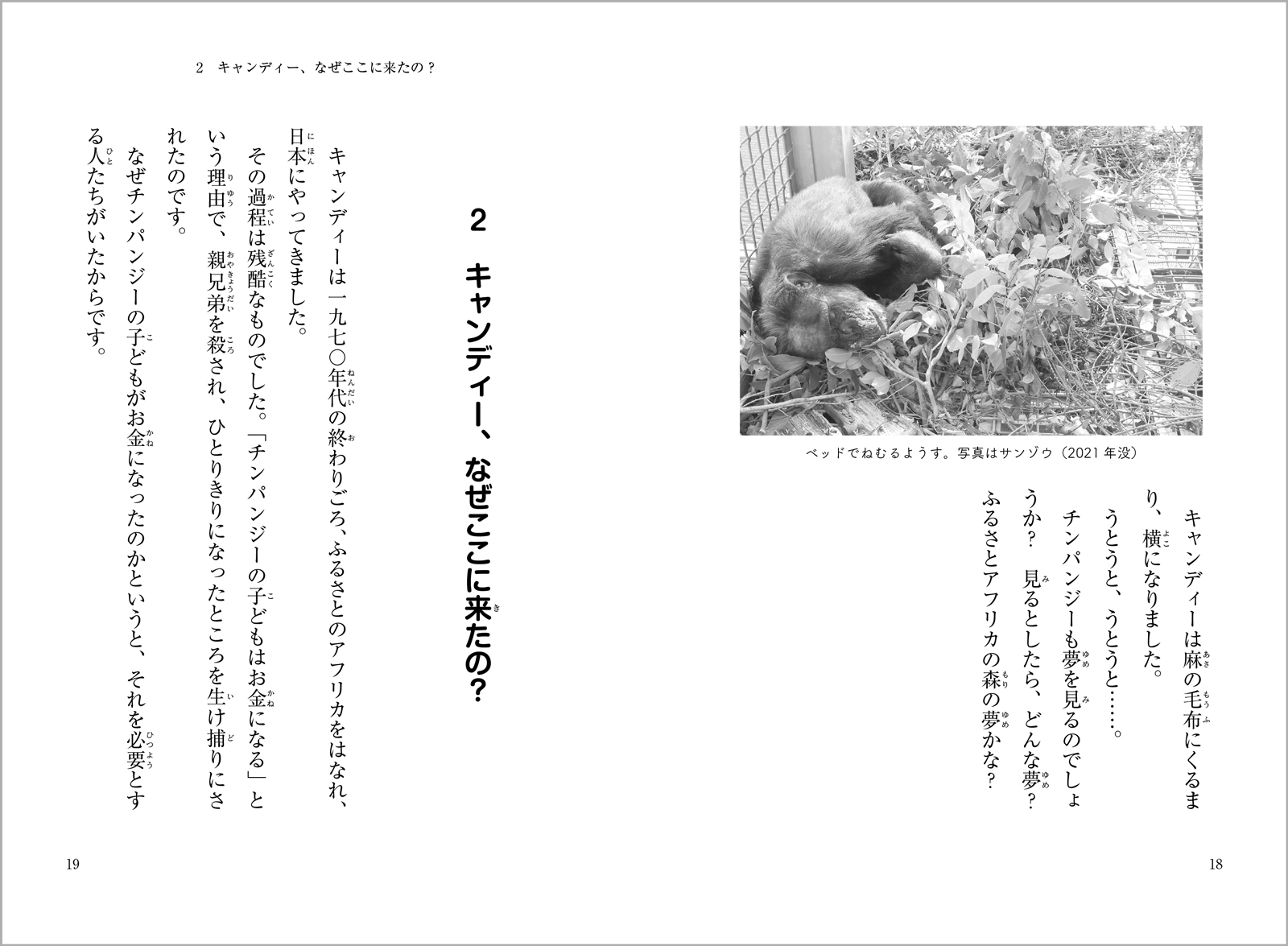 サムネイル画像9