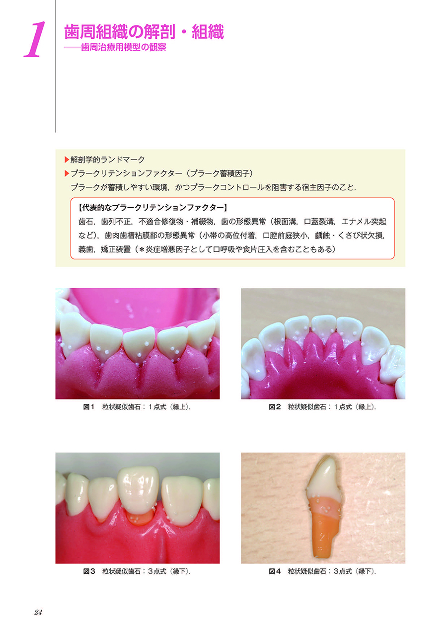 サムネイル画像1