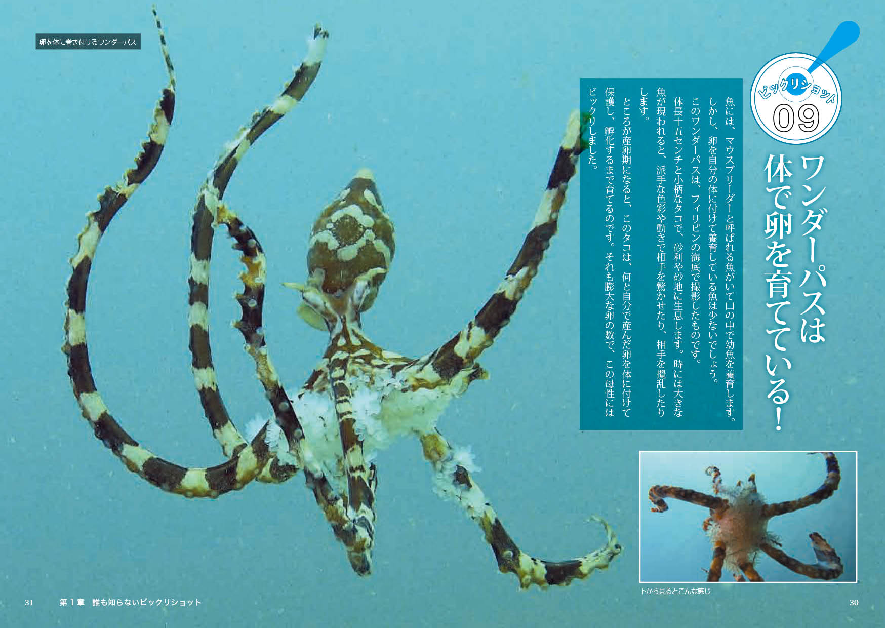 サムネイル画像2