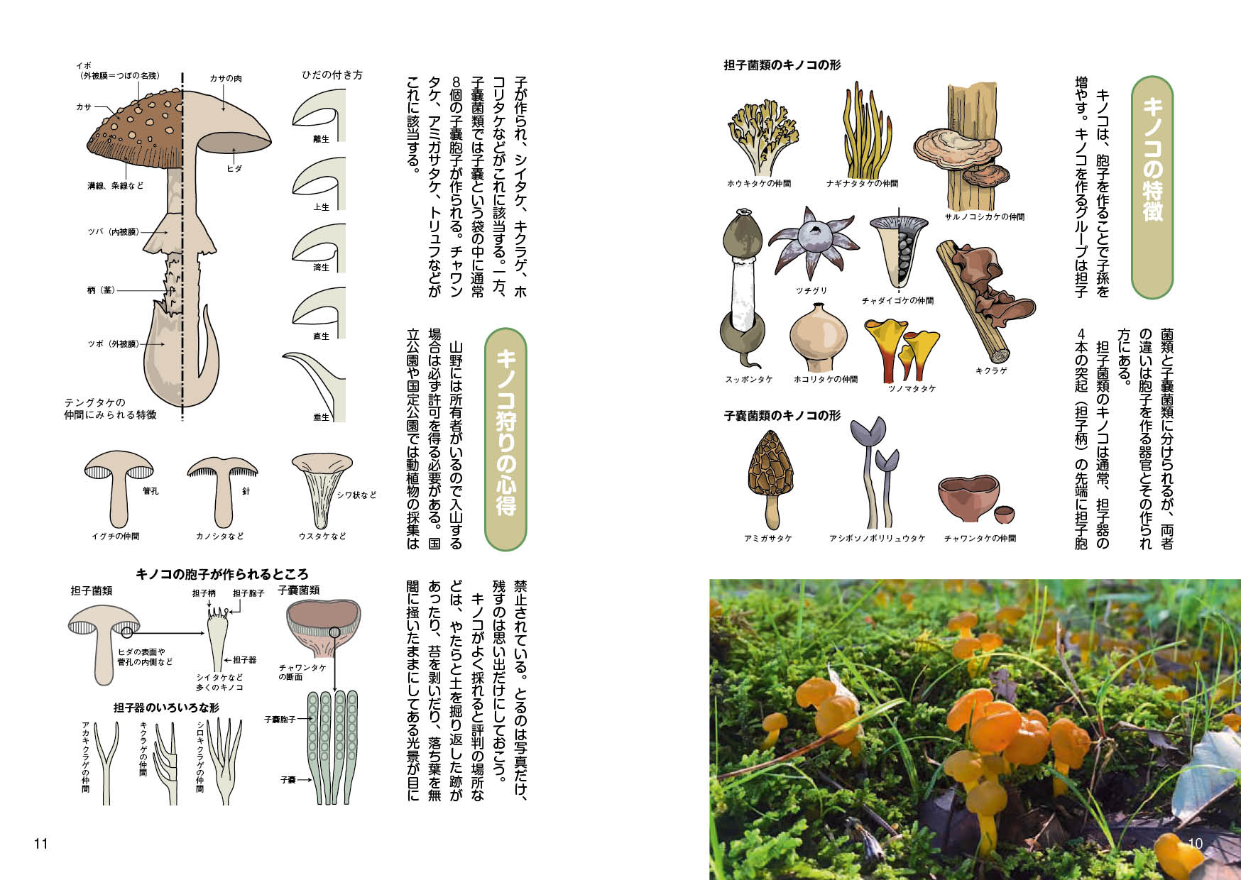 サムネイル画像1