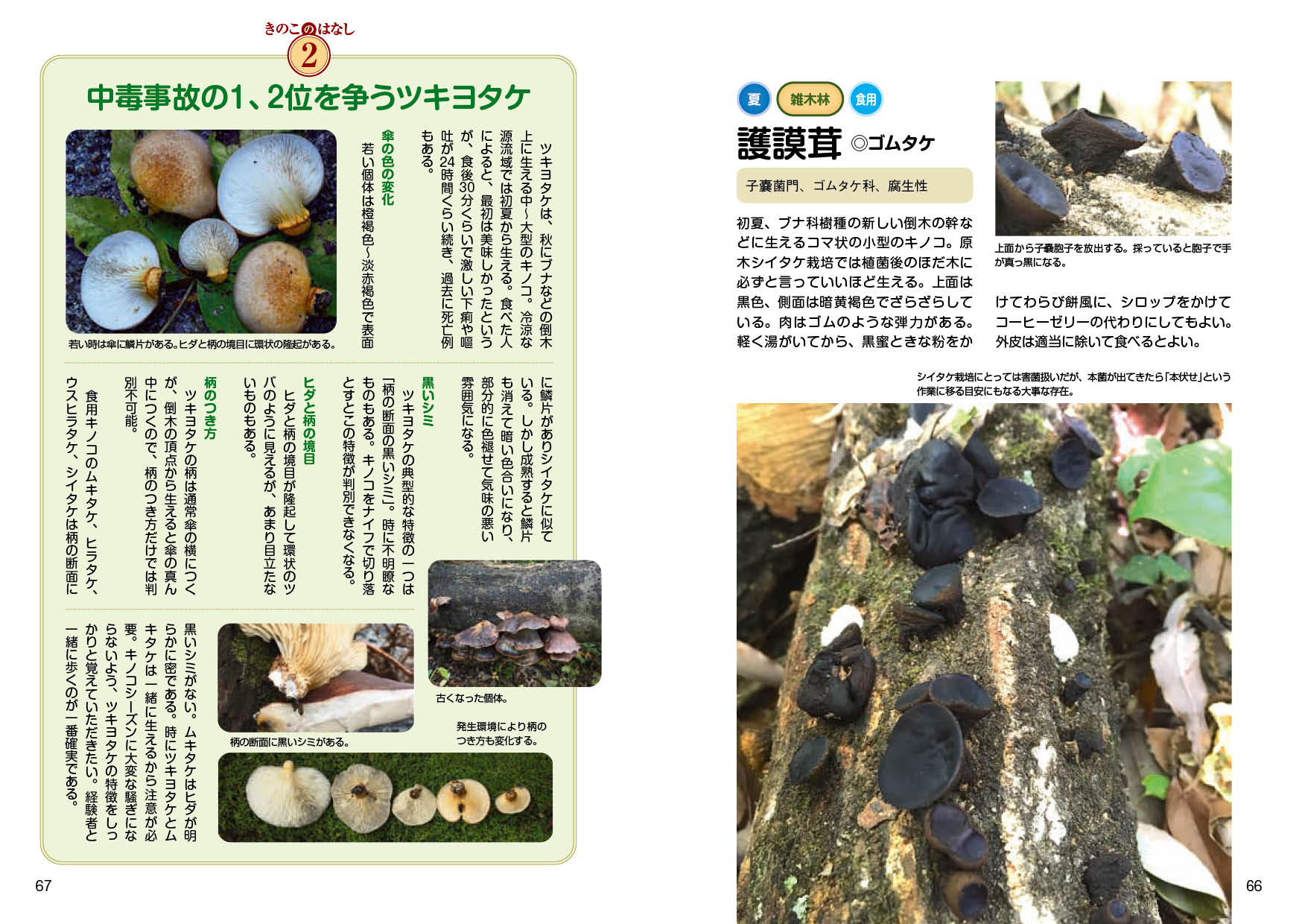 サムネイル画像4