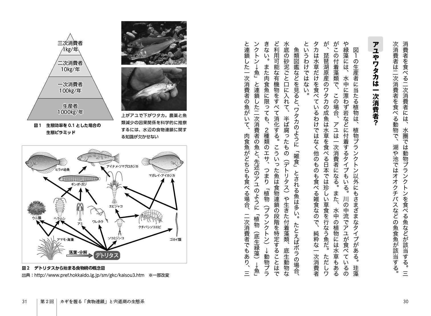 サムネイル画像4