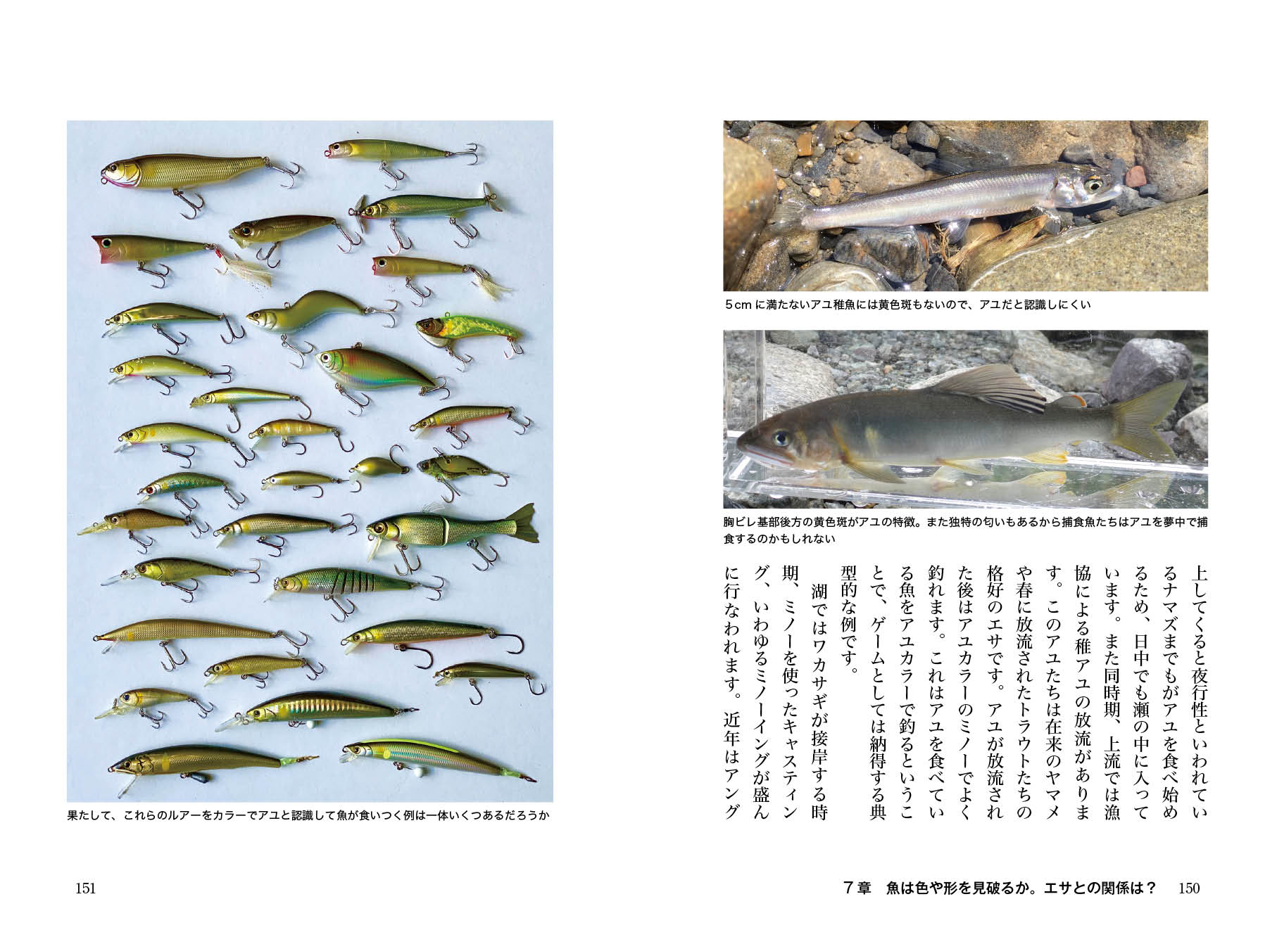 サムネイル画像4