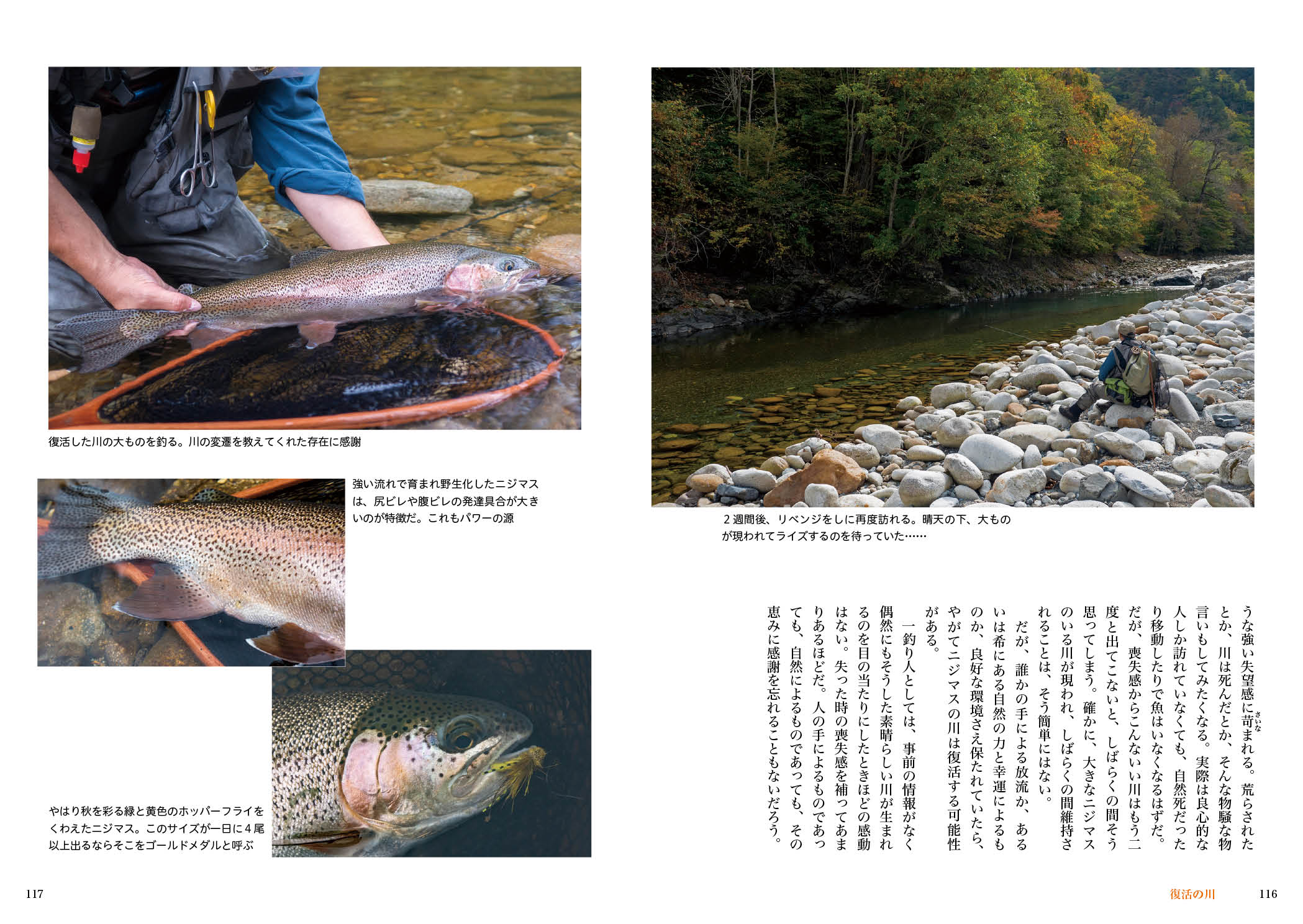 サムネイル画像4